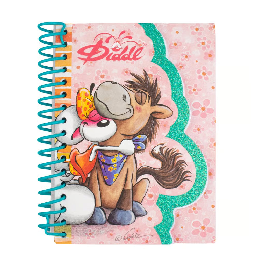 Carnet forme A6 Diddl V2