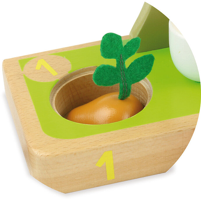 j'apprends à compter les légumes