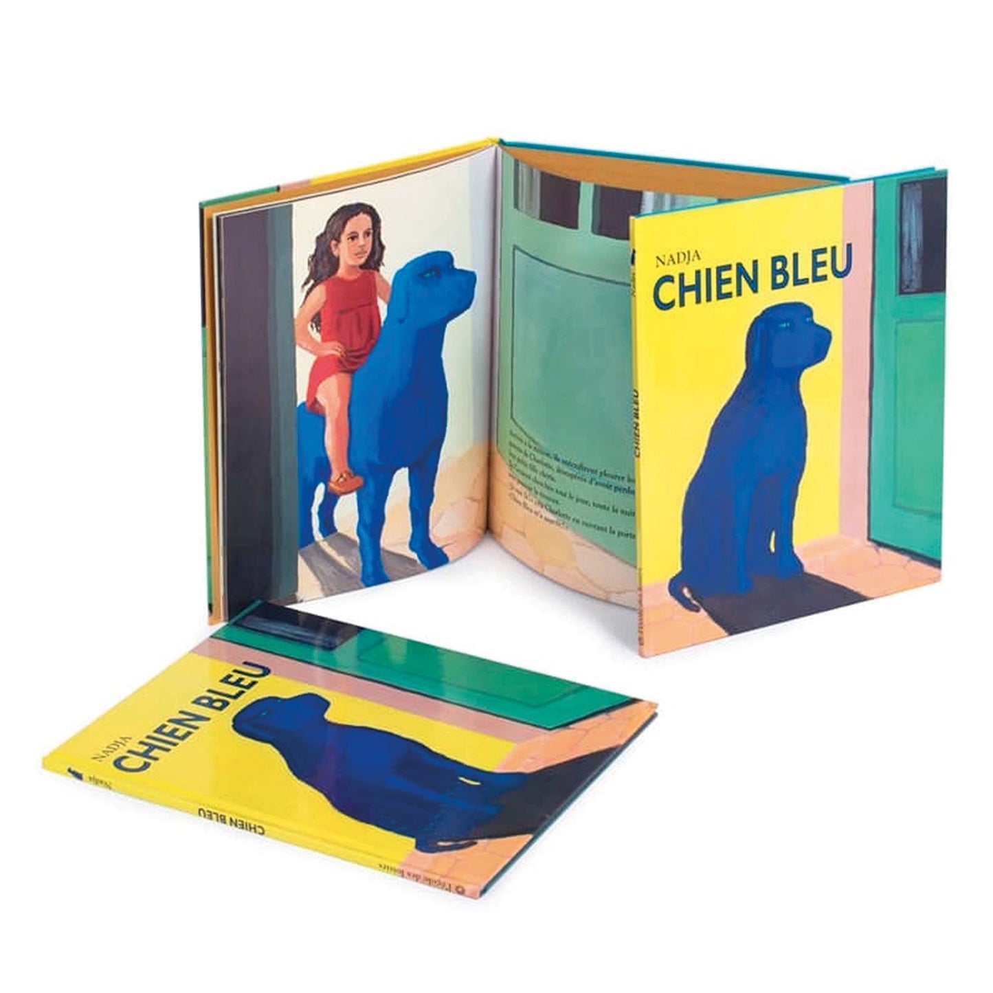 Livre Chien bleu de Nadja