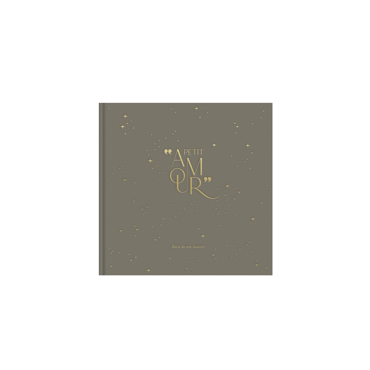 Livre de naissance - Petit Amour Sauge