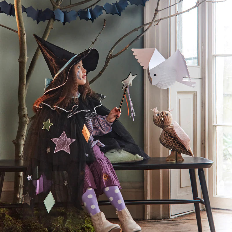 Cape de Sorcière en tulle, motifs simili-cuir, chapeau organdi, baguette 3-6 ans - MERI MERI