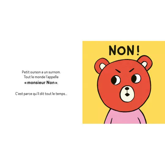 Non - le livre