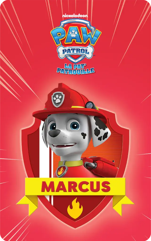 Collection La Pat' Patrouille