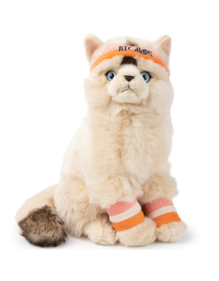 Dolly le Ragdoll - 32cm