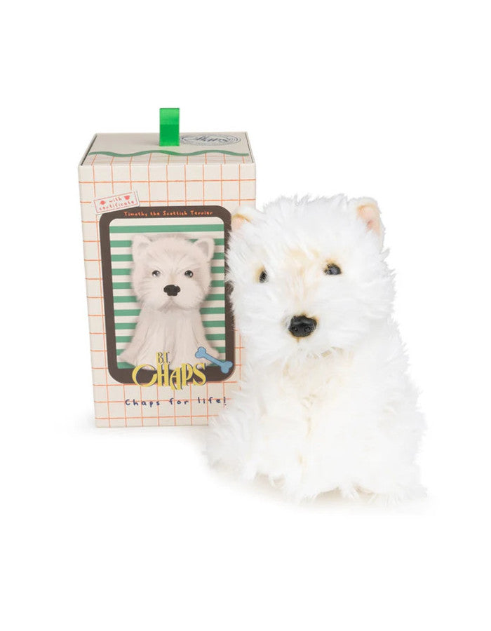 Timothy le Terrier Ecossais en boîte cadeau - 17cm