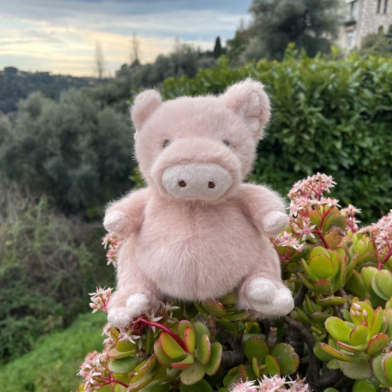 Baby Oink - 15cm