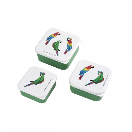 Set de 3 lunch box - perroquets