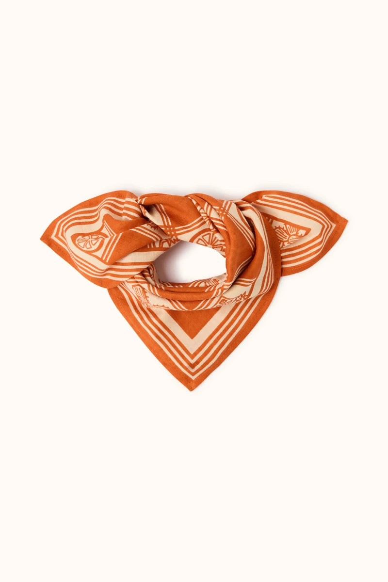 Small Foulard Manika Citrus AUBURN