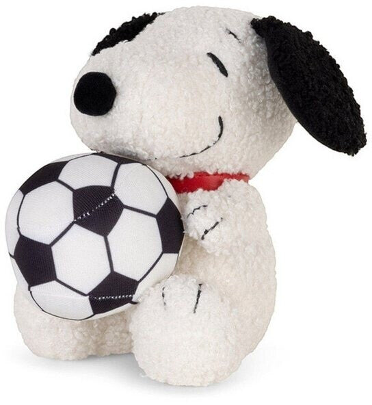 Snoopy football