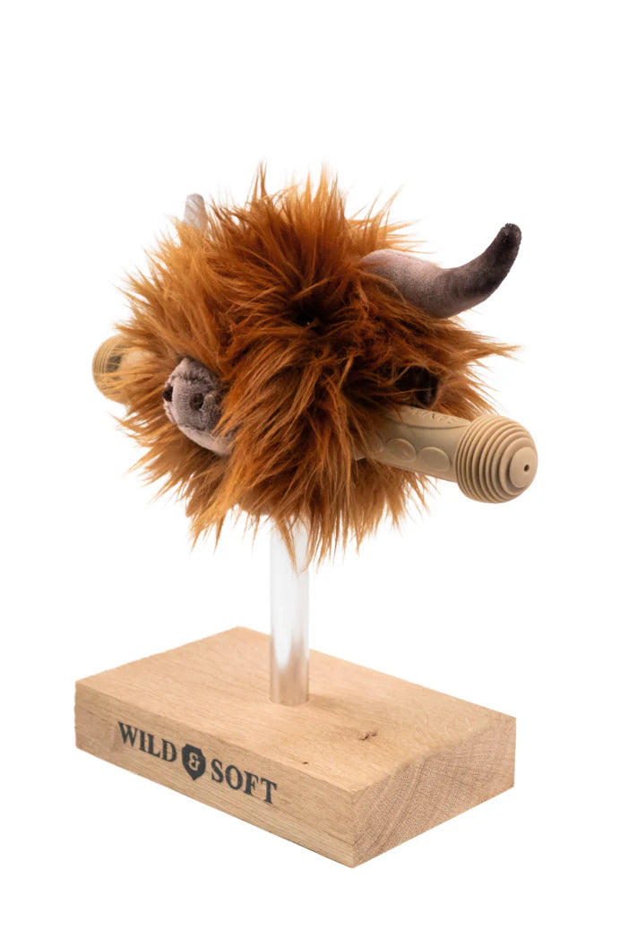 Tête de trottinette - Vache Ecossaise