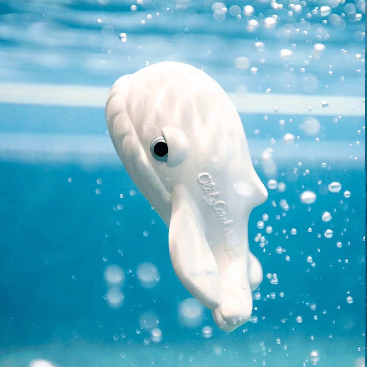 Walter the Whale Jouet Bain Bébé