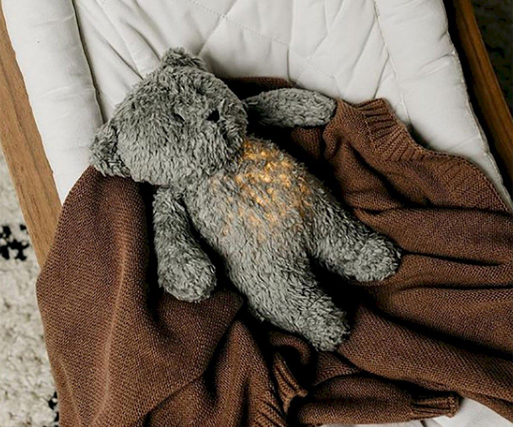 Moonie l'ours douceur avec sons & lumières - gris