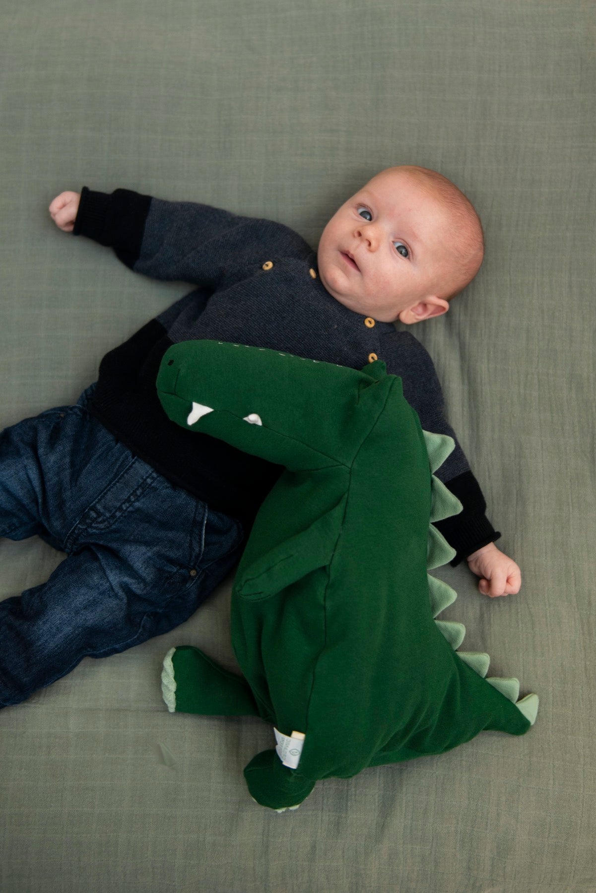 Peluche grande - Mr. Crocodile