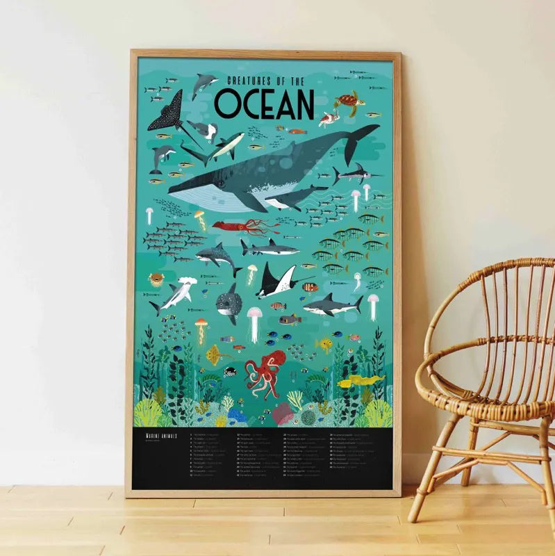 Poster en stickers océans / activité éducative