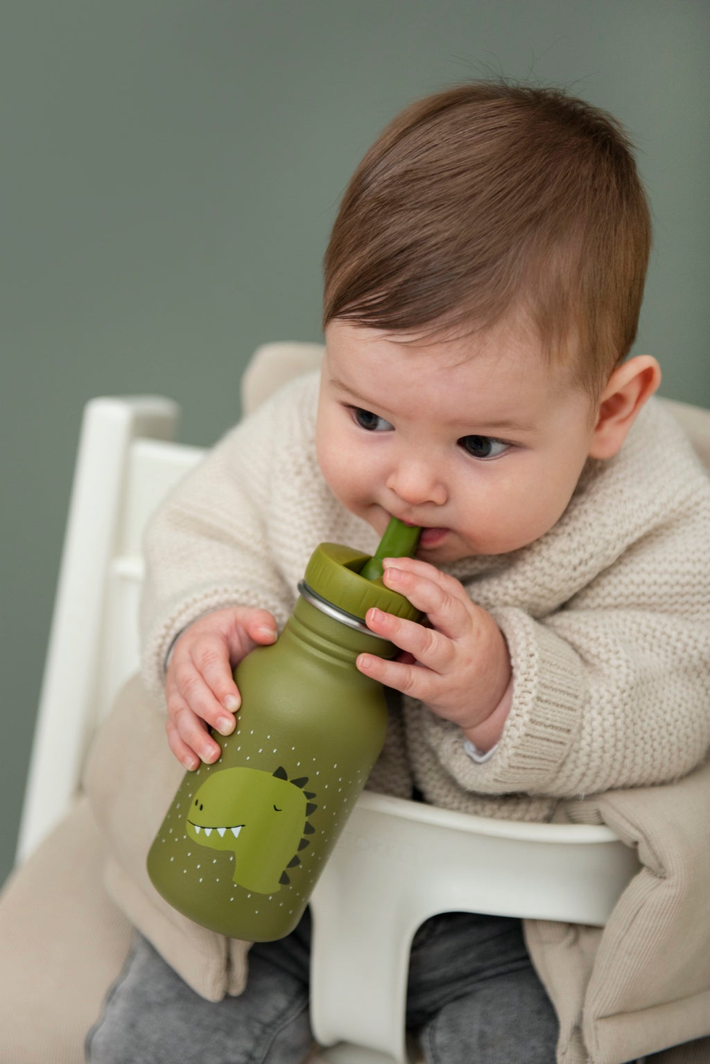 Gourde 350ml -Mr. Dinosaure